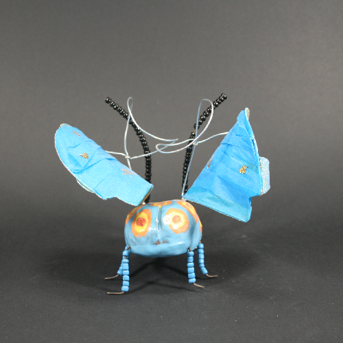 insecte bleu dos