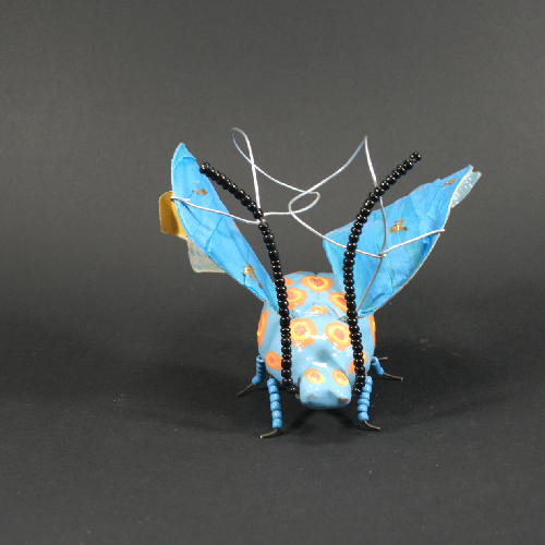 insecte bleu face