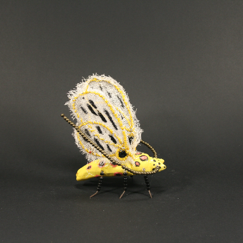 insecte jaune coté dte