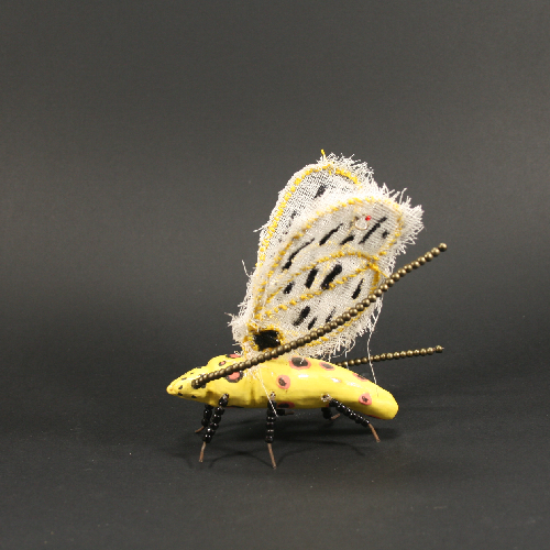 insecte jaune coté gch