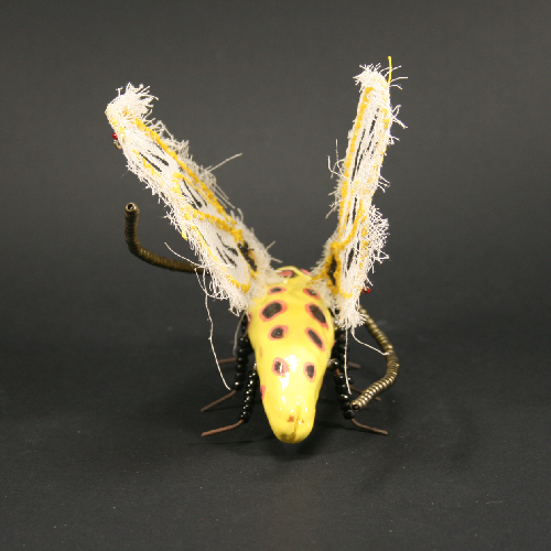 insecte jaune dos