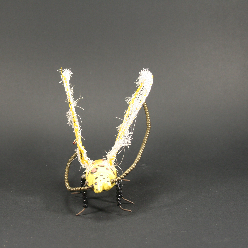 insecte jaune face