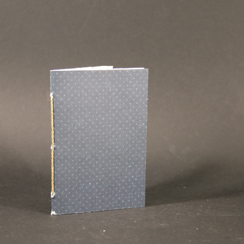 mini bleu pois