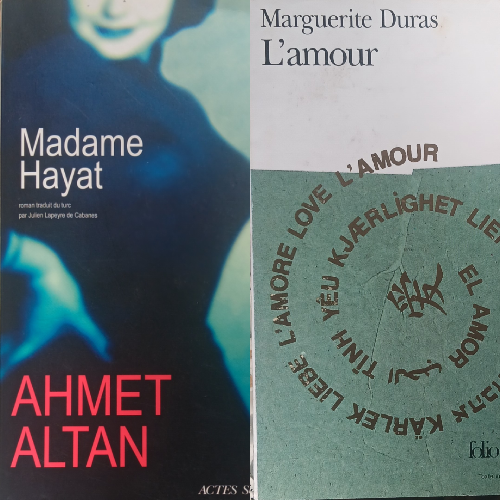 roman de ahmet altan, roman de marguerite duras