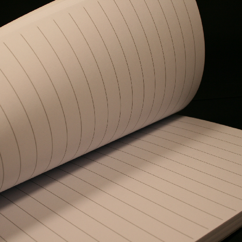 vue interieure des carnet "goodies" lignes